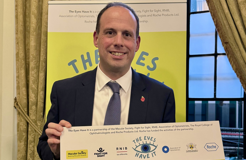 Visit to the 'The Eyes Have It' Parliament Drop-in