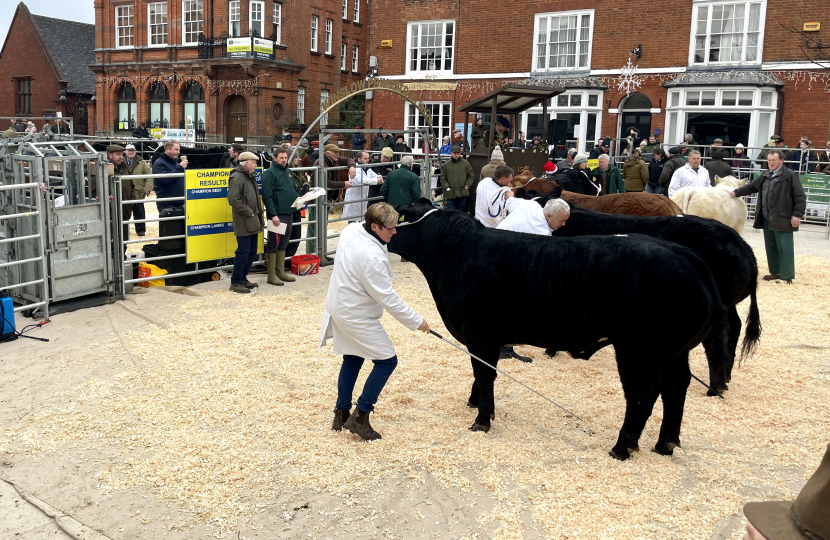 The Winslow Christmas Primestock Show.