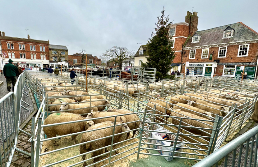 153rd Winslow Annual Christmas Prime Stock Show