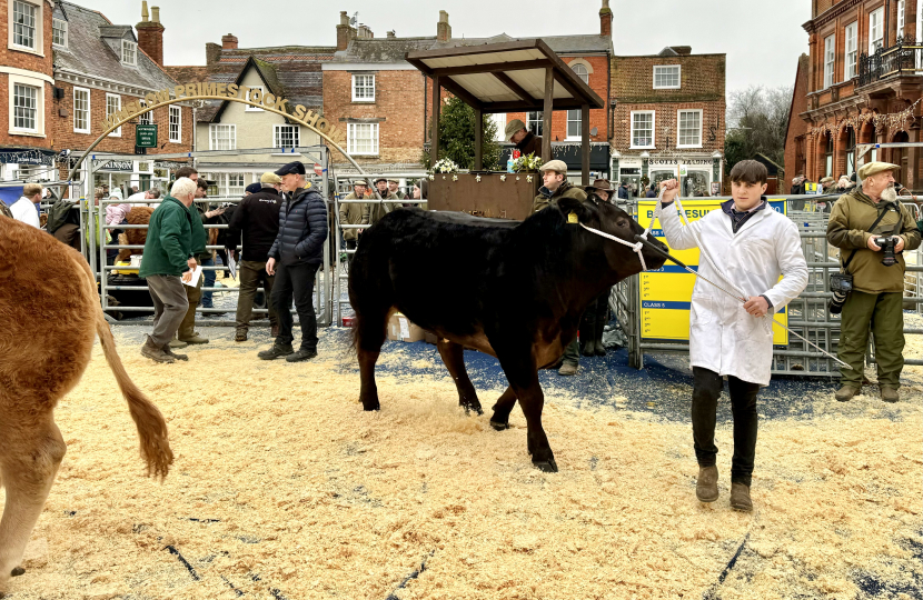 153rd Winslow Annual Christmas Prime Stock Show