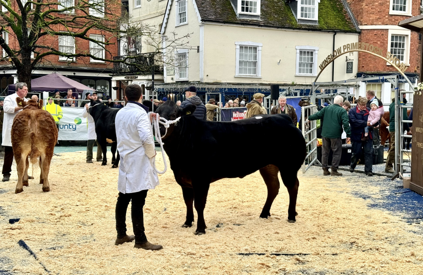 153rd Winslow Annual Christmas Prime Stock Show