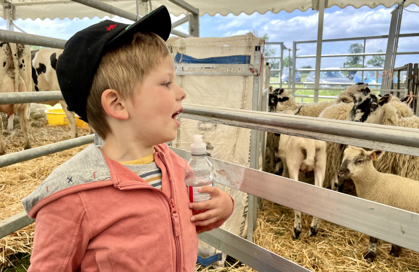 Buckingham Country Show 2023