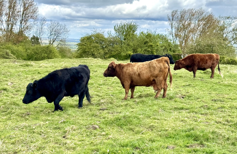 Greg congratulates Brill Village Community Herd on King's Award for Voluntary Service