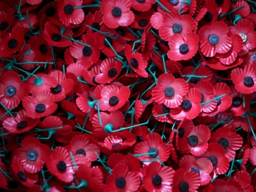 Greg urges constituents to support Poppy Appeal electronically