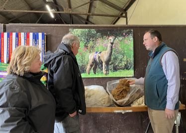 Greg visits Alpaca Evolution