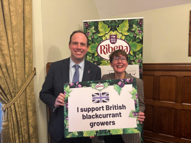 Ribena UK Parliament Drop-in